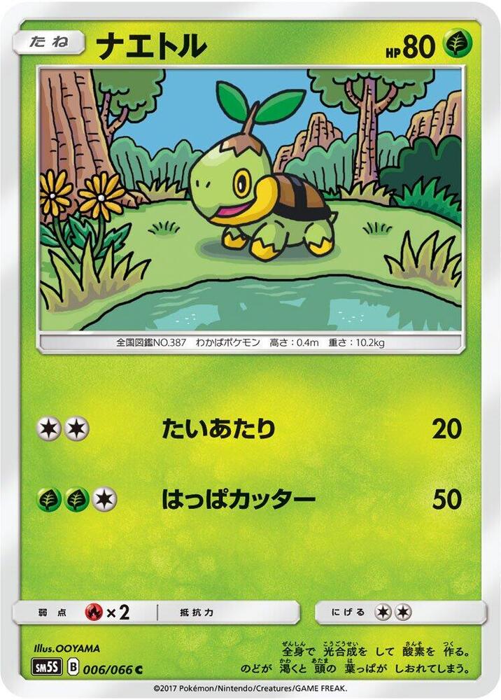 Turtwig (6)