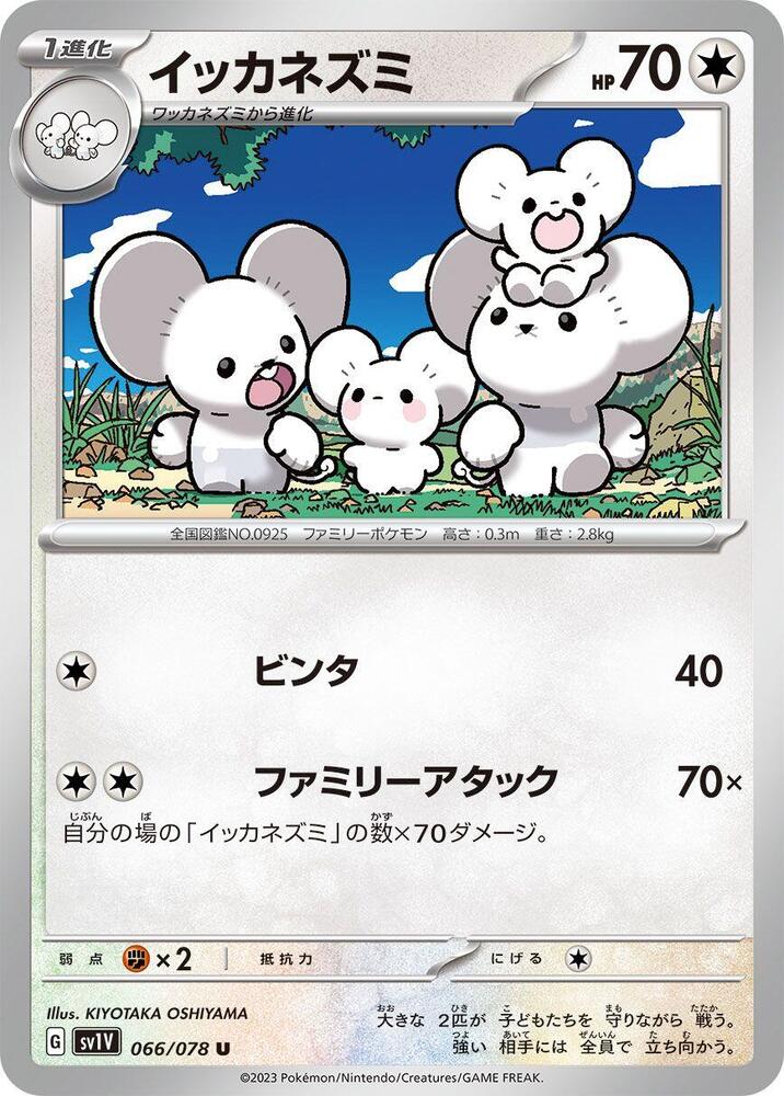 Maushold — Japanese Violet ex