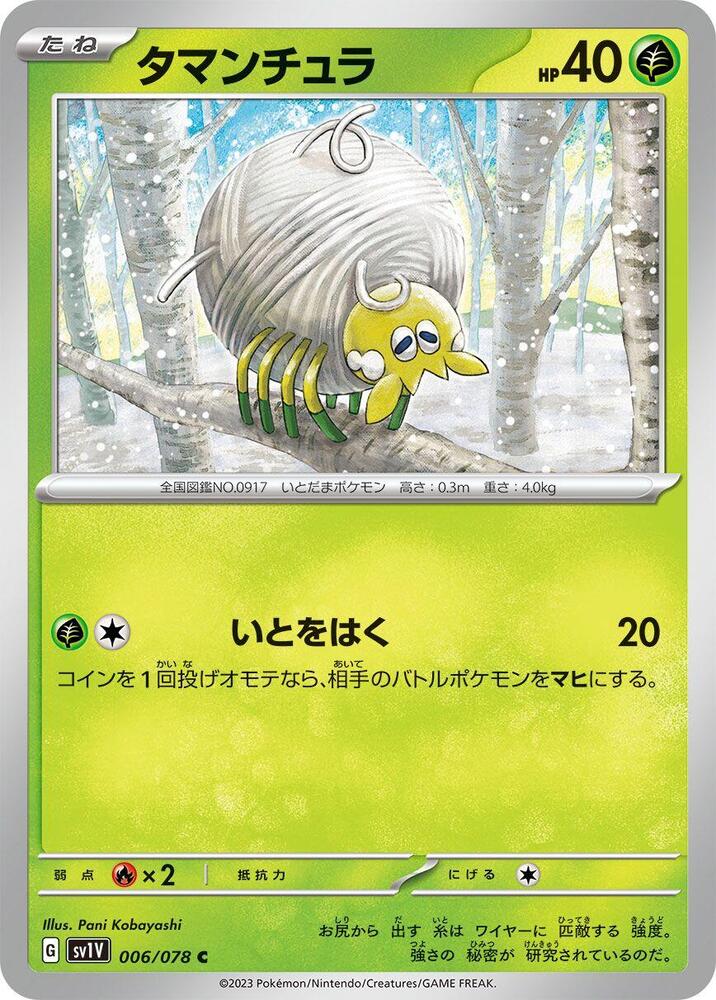 Tarountula (6) — Japanese Violet ex