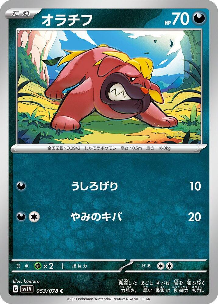 Maschiff (53) — Japanese Violet ex