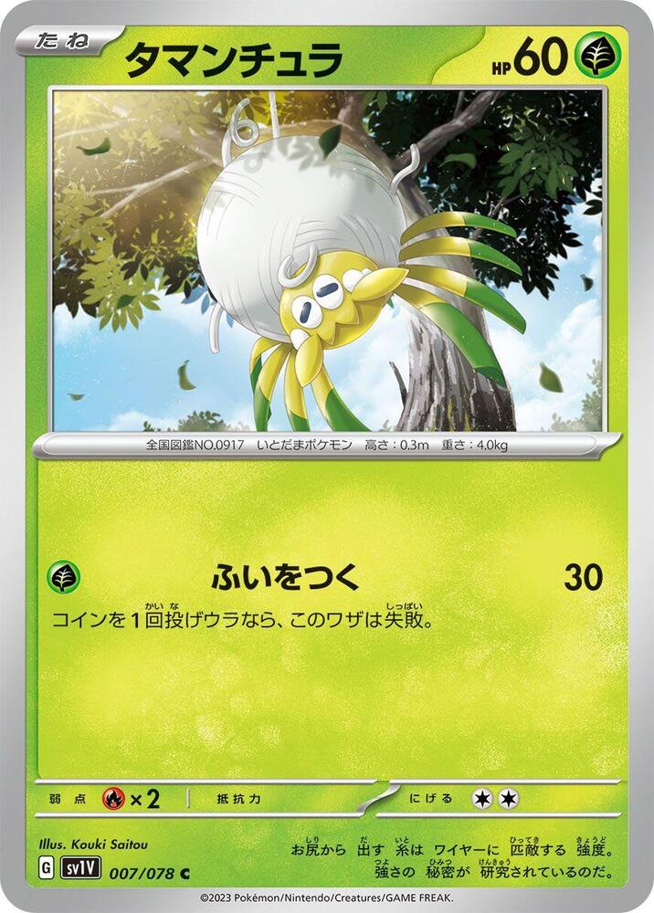 Tarountula (7) — Japanese Violet ex