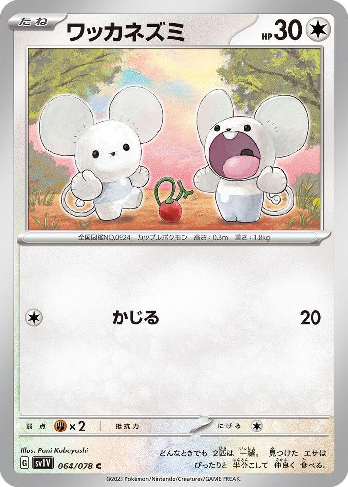 Tandemaus (64) — Japanese Violet ex