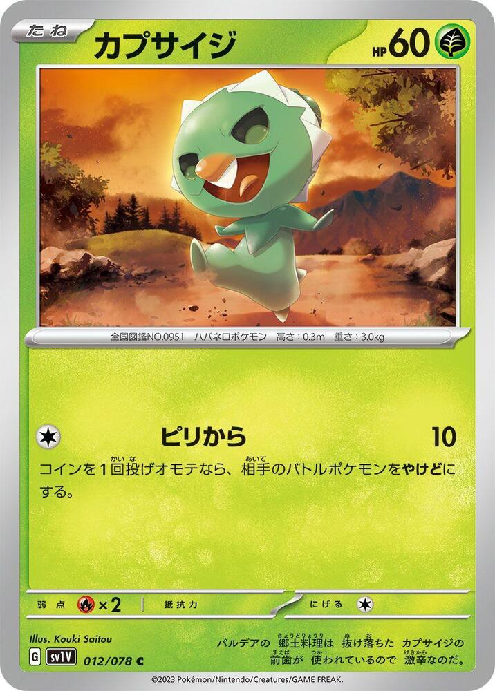 Capsakid (12) — Japanese Violet ex