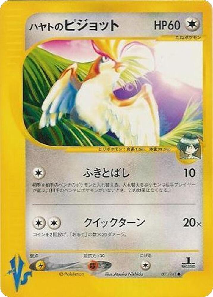 Falkners Pidgeot