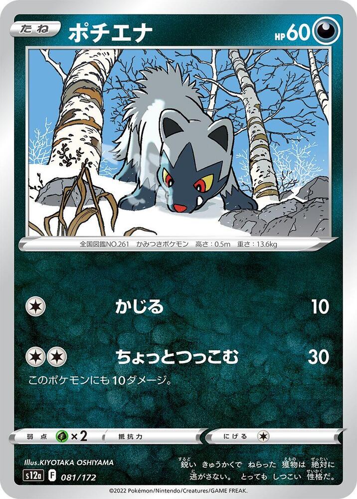 Poochyena (81)