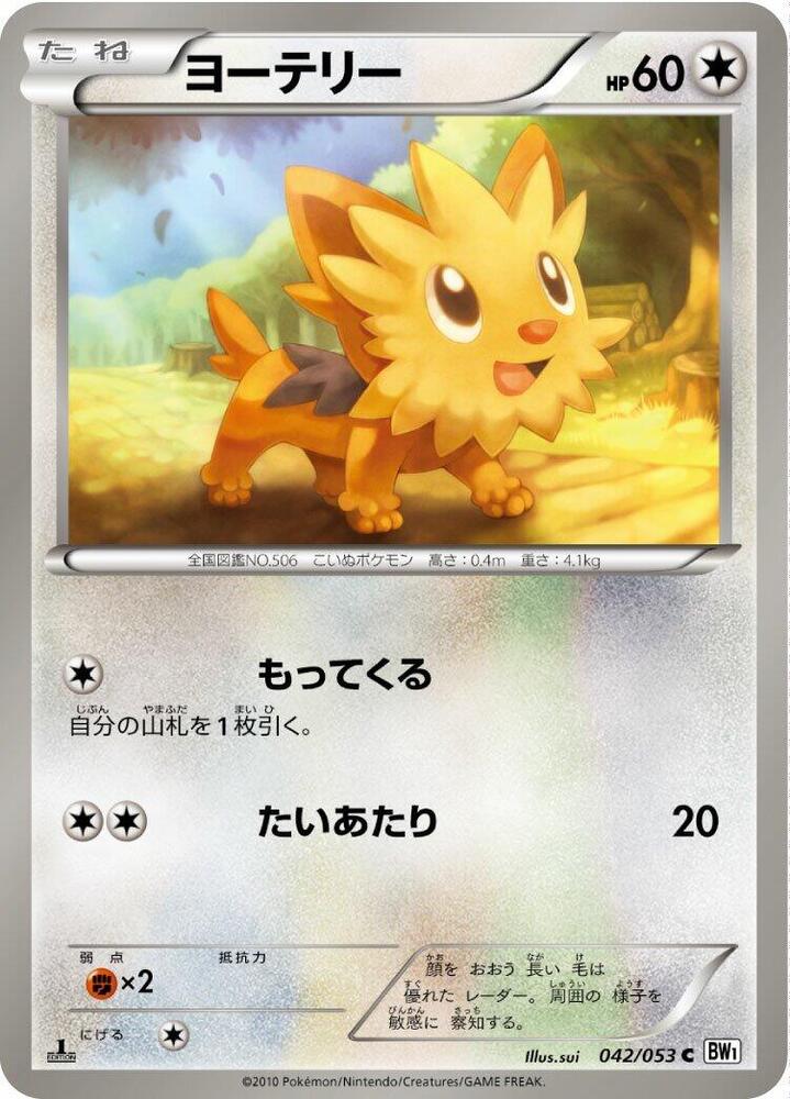 Lillipup — Japanese White Collection