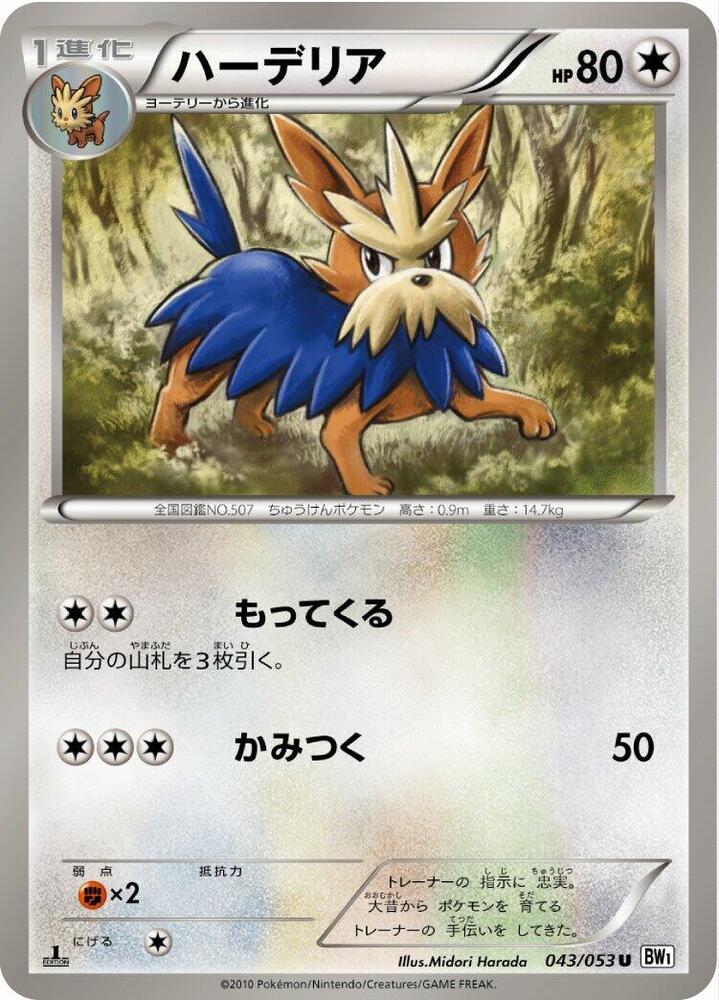 Herdier — Japanese White Collection