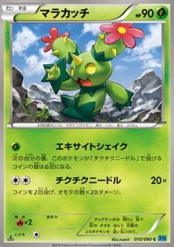 Maractus — Japanese Wild Blaze